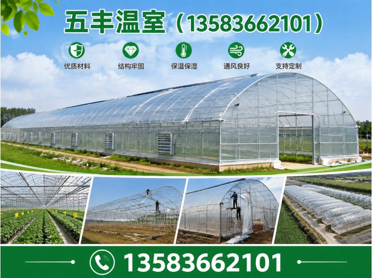 潍城区玻璃温室展示图